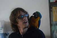 de ara die langs kwam