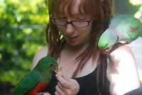 de ene rotzak kwam alleen als je wat te eten had, de ander heeft mn kraaltje gesloopt