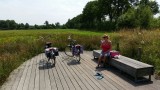natuurgebied Brabant
