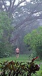I'm singing in the rain.....