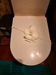 Grappig detail op de wc bril.....papieren bloem