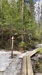 Nuuksio