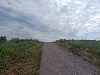 IMG20220712154457