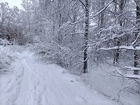 IMG20220222085538