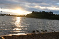 IMG_0421