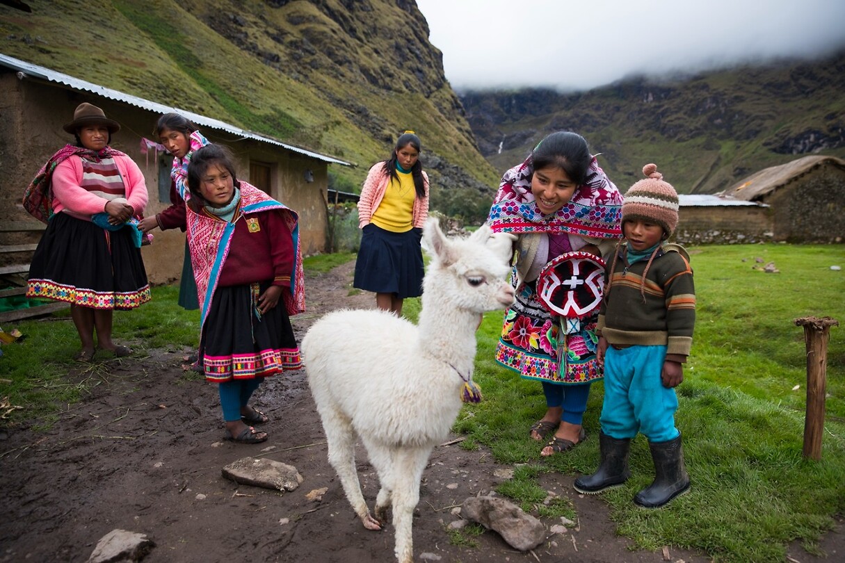 oxfam-novib-seeds-peru-alpaca