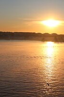IMG_0629