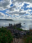 Lauttasaari (6)