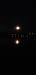 Volle maan