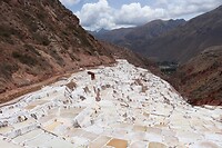 IMG_0875