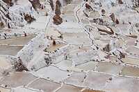 IMG_0877