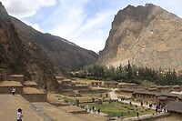 IMG_0886