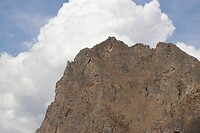 IMG_0910