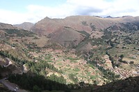 IMG_0936