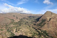 IMG_0981