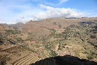 IMG_0982