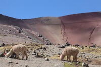 IMG_1015