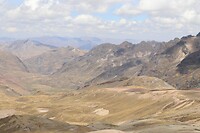 IMG_1031