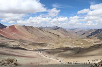 IMG_1042