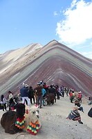 IMG_1047