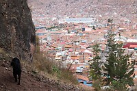 IMG_1093