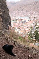 IMG_1098