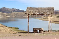 IMG_1110