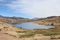 IMG_1117