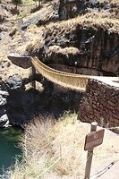 IMG_1130