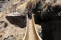 IMG_1163