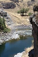 IMG_1164