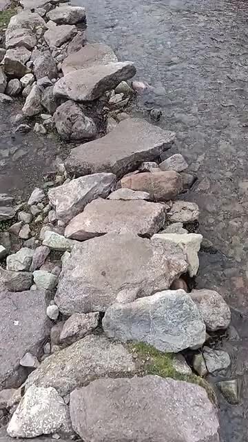 VID20221204131334