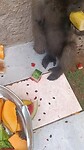 VID20221206101425