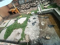 IMG20221206104239