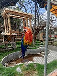 IMG20221206104248