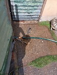 IMG20221226092805