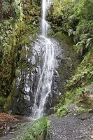 IMG_1305