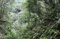 IMG_1315