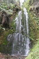 IMG_1316
