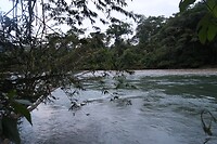 IMG_1321
