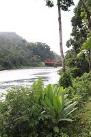IMG_1339