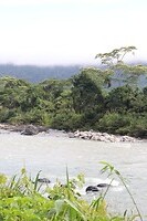IMG_1340