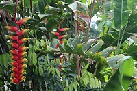 IMG_1342