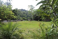 IMG_1354