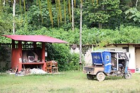 IMG_1355