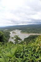 IMG_1358