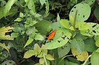 IMG_1369