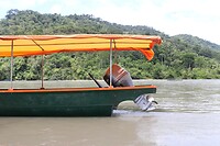 IMG_1375