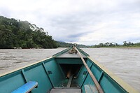 IMG_1398