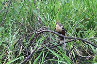 IMG_1404